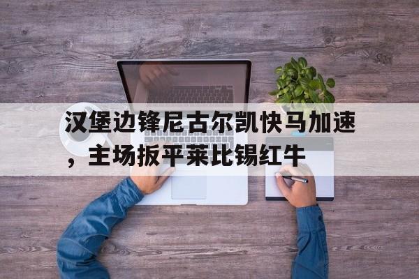 汉堡边锋尼古尔凯快马加速，主场扳平莱比锡红牛的简单介绍